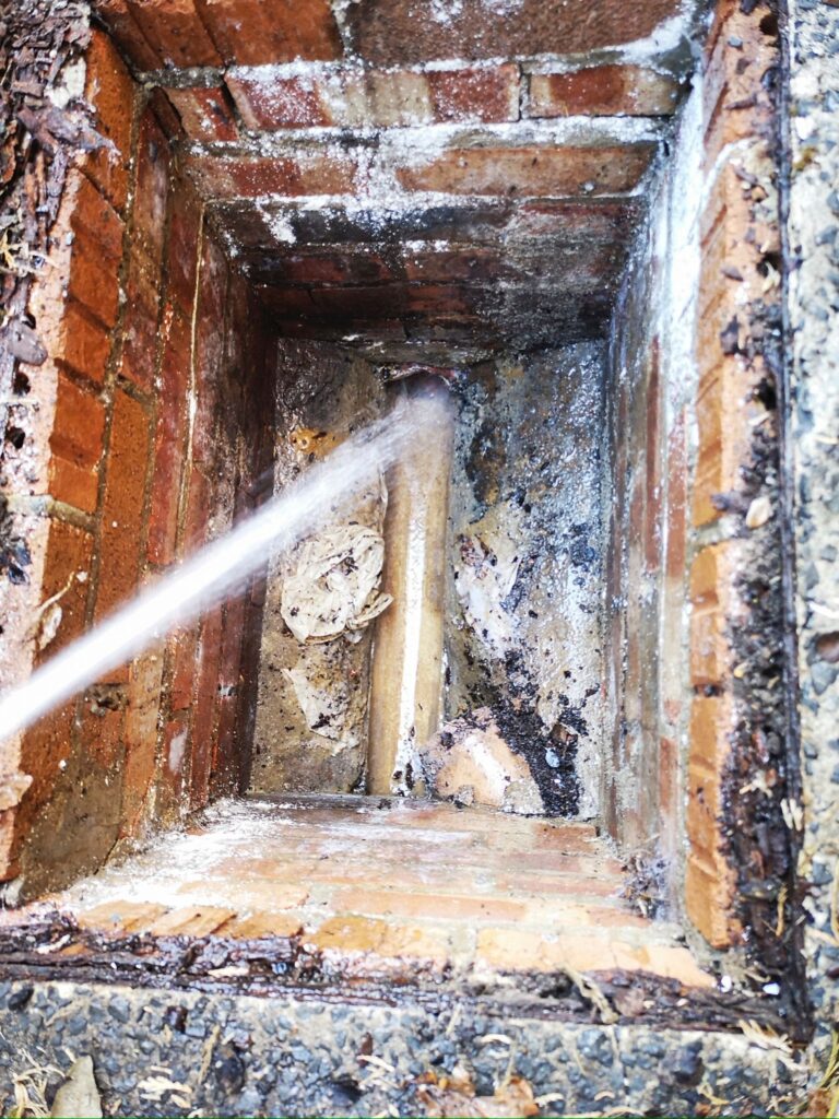 WhatsApp Image 2024-07-10 at 11.35.47 AM (1)